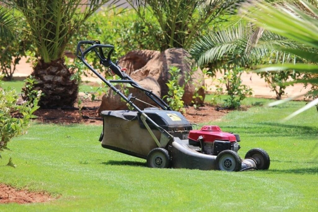 A lawn mower parked in the grass