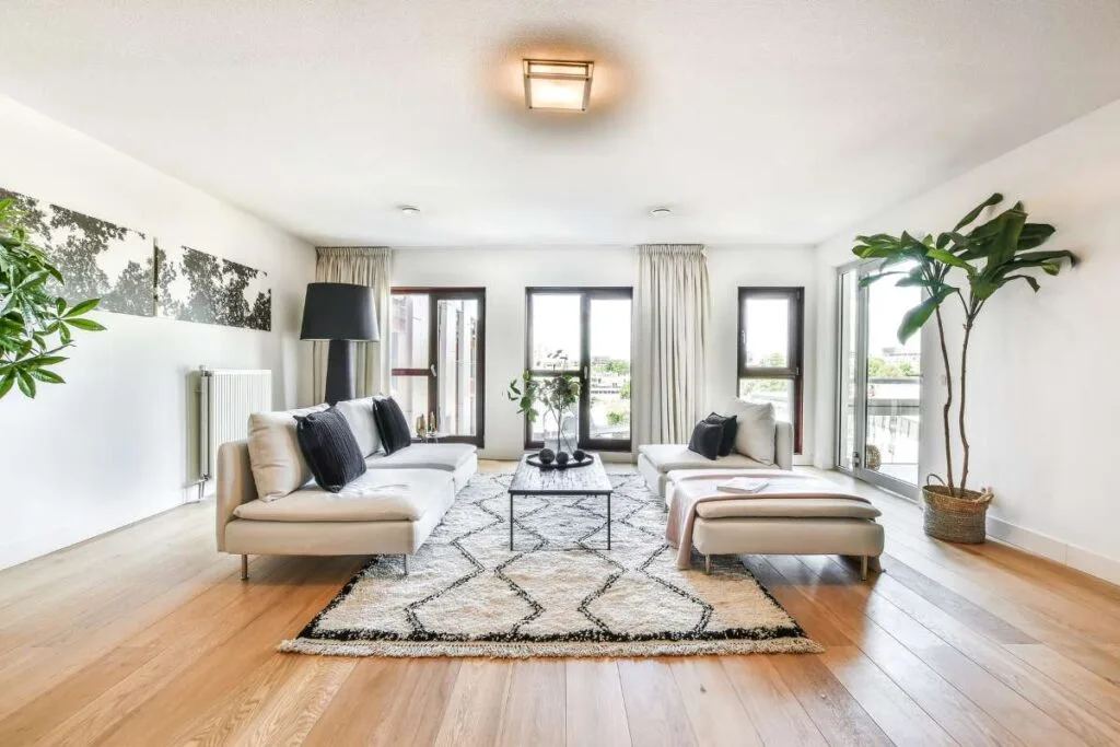 Livinf room with natural light and elegant furniture.