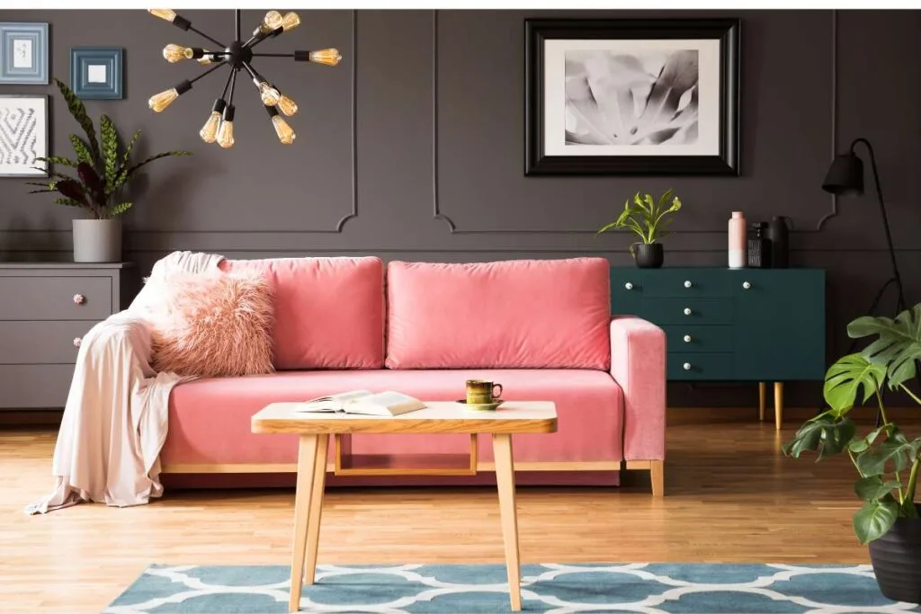simple and cute looking sofa in teh living room